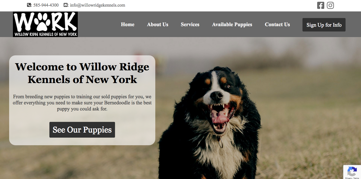 screenshot of Willow Ridge Kennels website